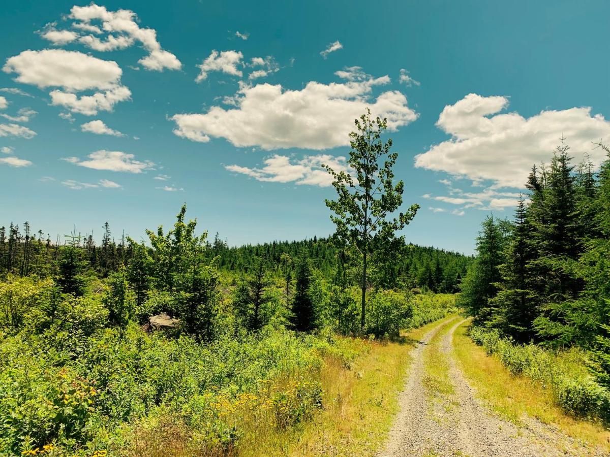 Eagle Valley Cottages Queensport Экстерьер фото